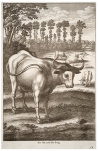 Ox and Frog